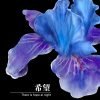 Felpa con cappuccio Night Flower Hope