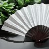 Fan Shiro Kaze Sensu